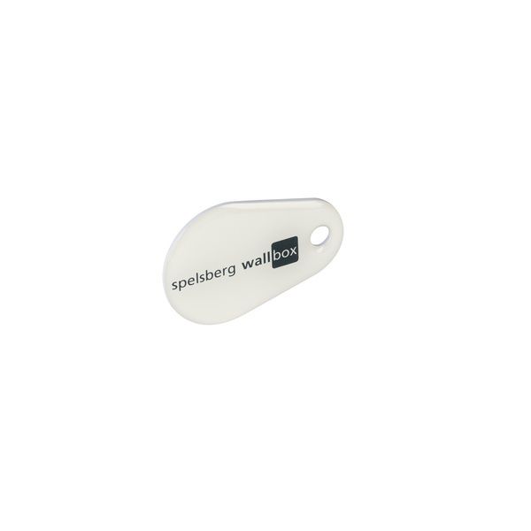 Spelsberg RFID Chip 59181301 Typ RFID-C Polar 