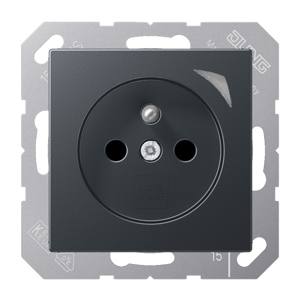Jung JUNG HOME Steckdose BTA1521FSANM