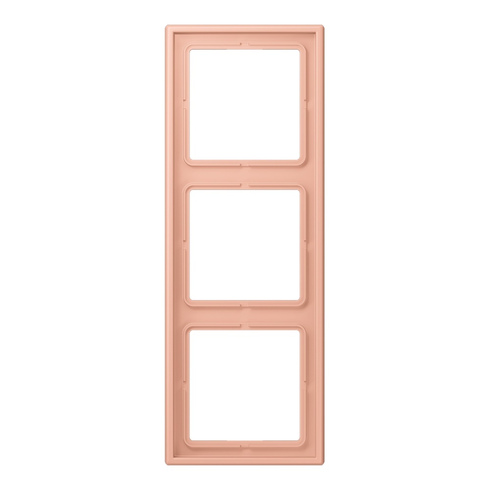 Jung Rahmen LC983231