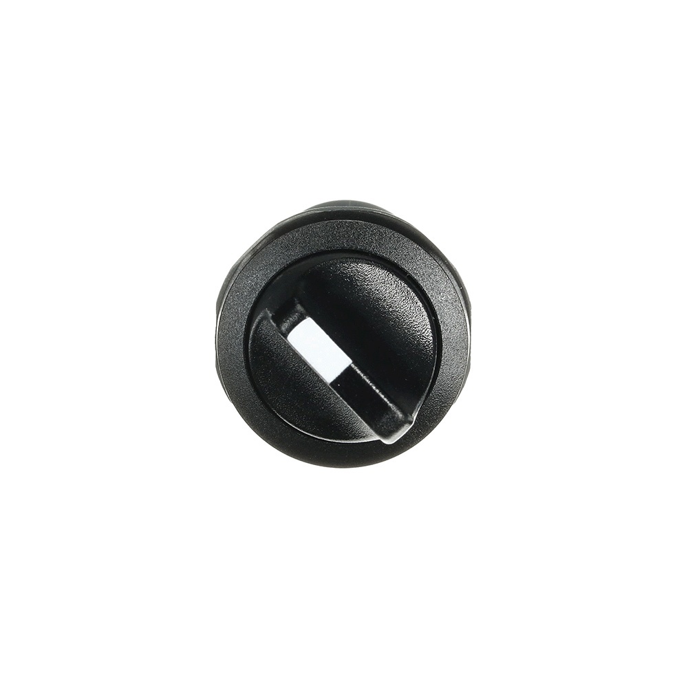 ABB Wahlschalter 1SFA619201R1076 Typ C2SS2-10B-11