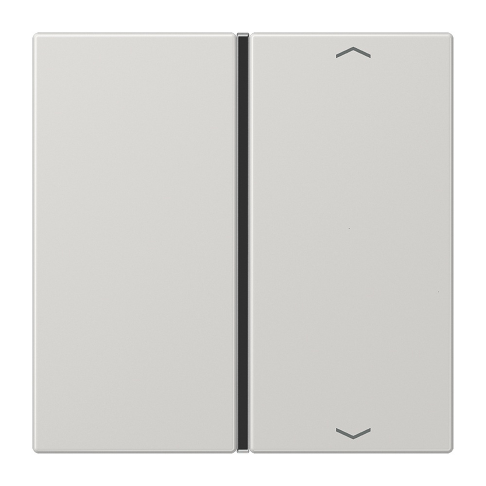 Jung Taste 1fach LS 401 TSAP LG Jung Taste 1fach LS 401 TSAP LG
