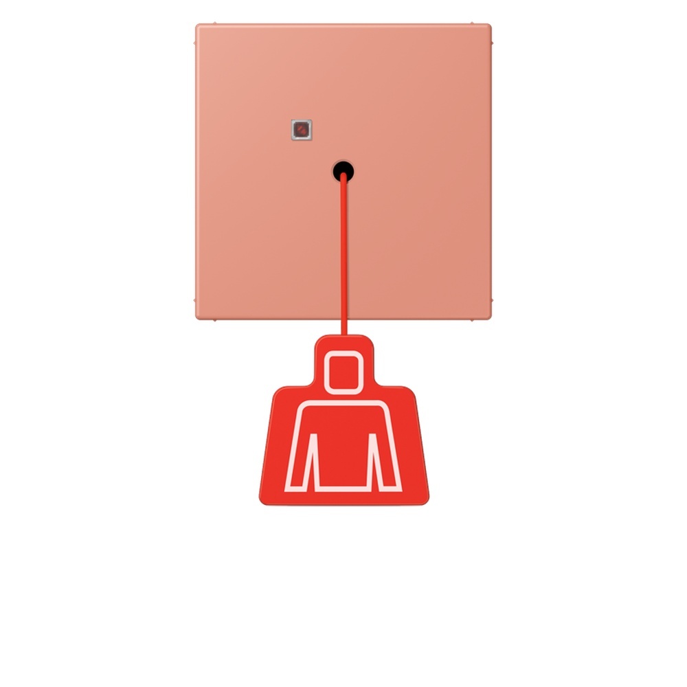 Jung Notrufsystem Zugtaster NRSLC0834ZT233