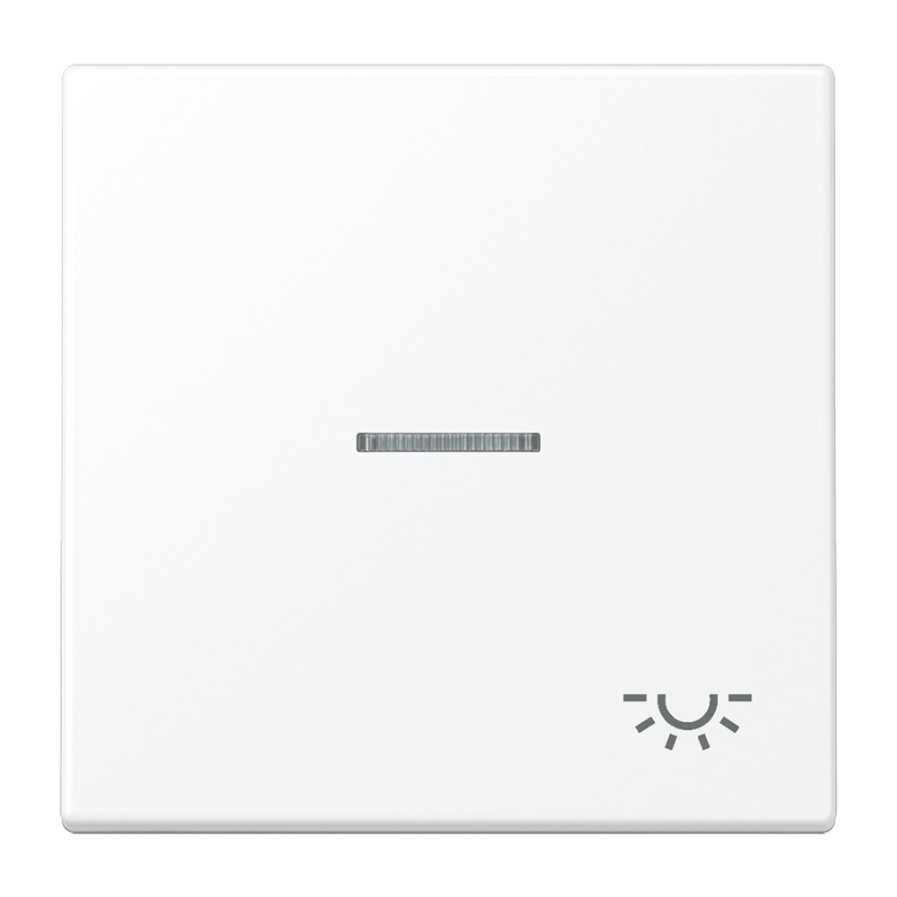 Jung Wippe 1fach m. Lichtleiter LS990KO5LWWM