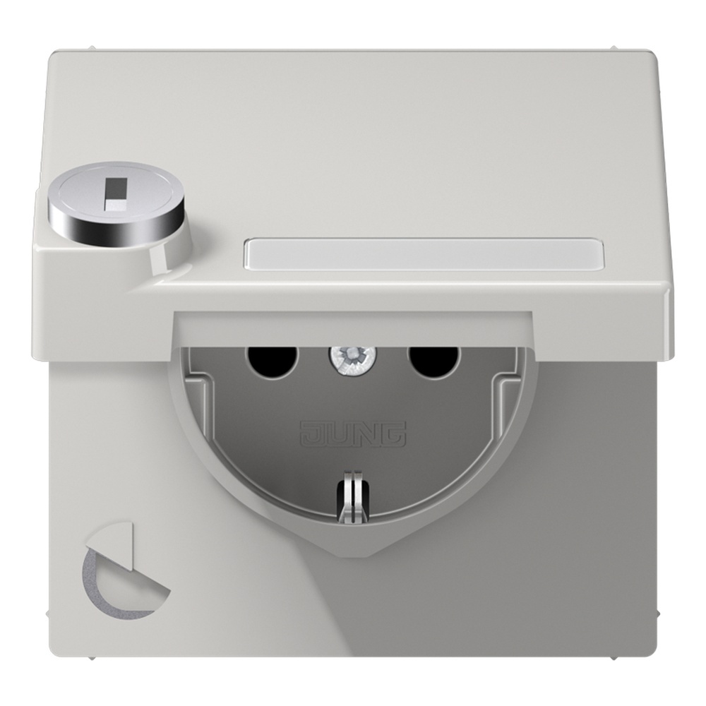 Jung Schutzkontakt Steckdose LS 1520 NAKLSL LG
