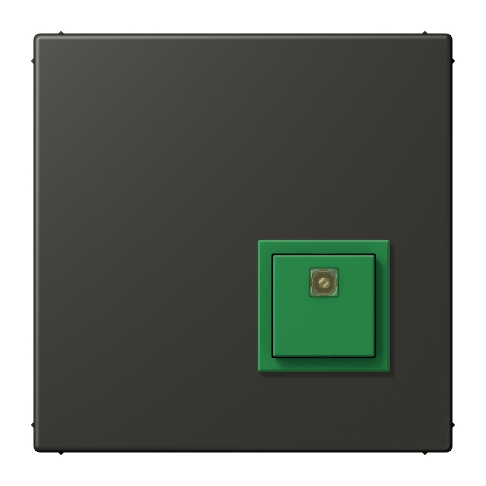 Jung Notrufsystem Abstelltaster NRSLC0834AT259