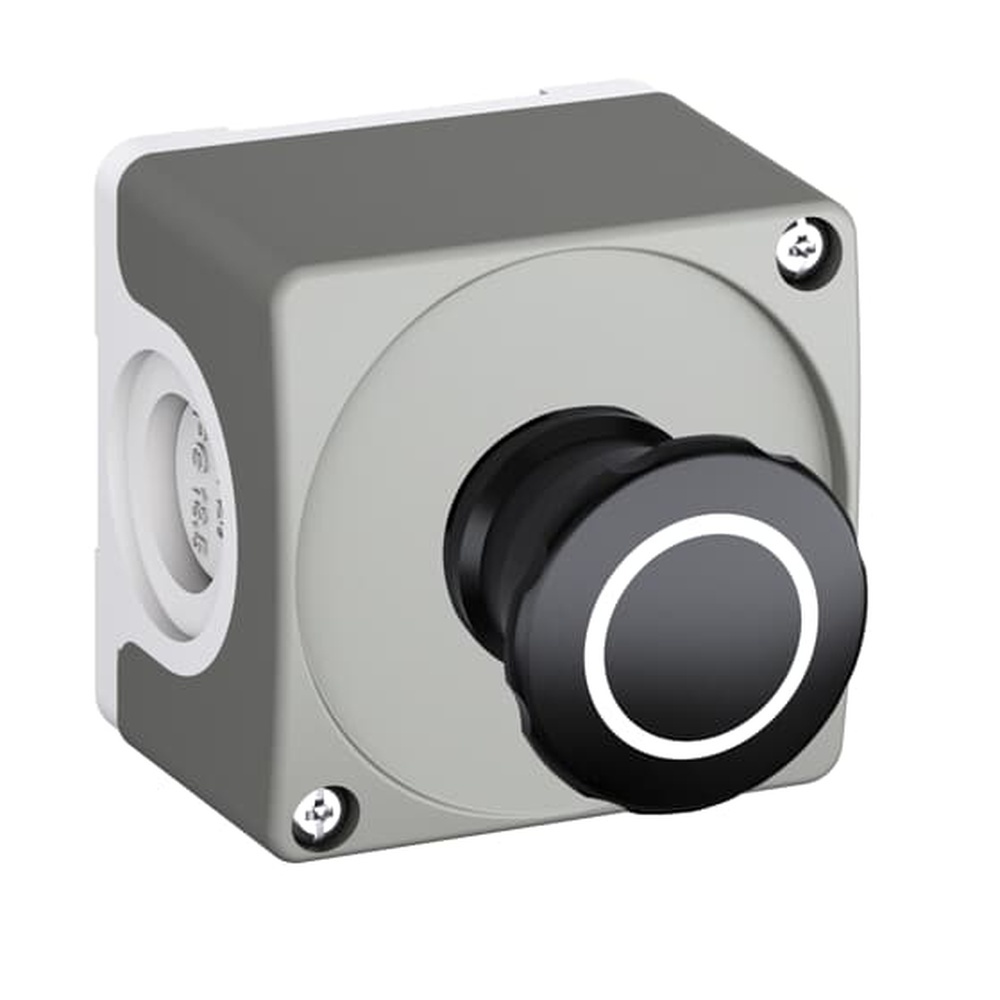 ABB Befehls und Meldegeräte Kombination im Gehäuse 1SFA619811R1002 Typ CEP1-1002