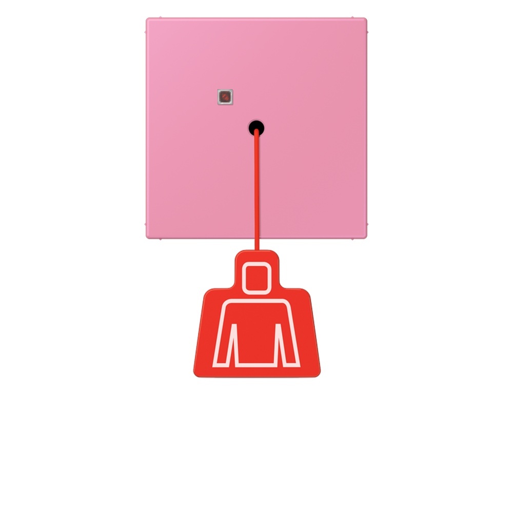 Jung Notrufsystem Zugtaster NRSLC0834ZT246