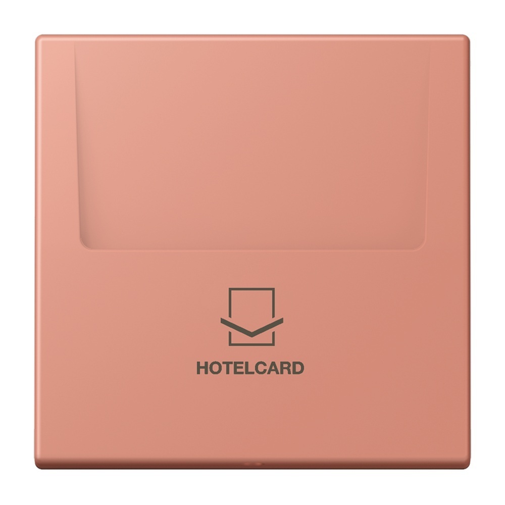 Jung Hotelcard Schalter LC590CARD233