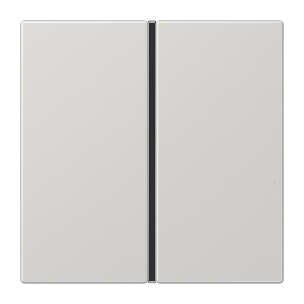 Jung Tastensatz 1fach LS 401 TSA LG Jung Tastensatz 1fach LS 401 TSA LG