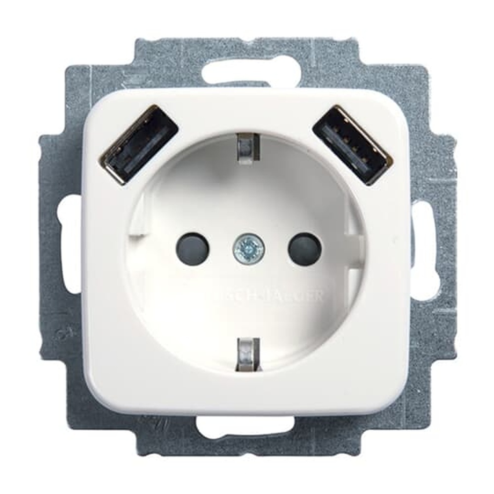 Busch-Jaeger Schuko USB Steckdose 20 EUCB2USB-214 Nr. 2CKA002011A6264