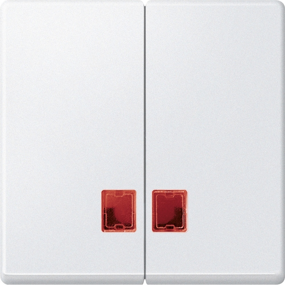 Merten Doppelwippe MEG3456-0419