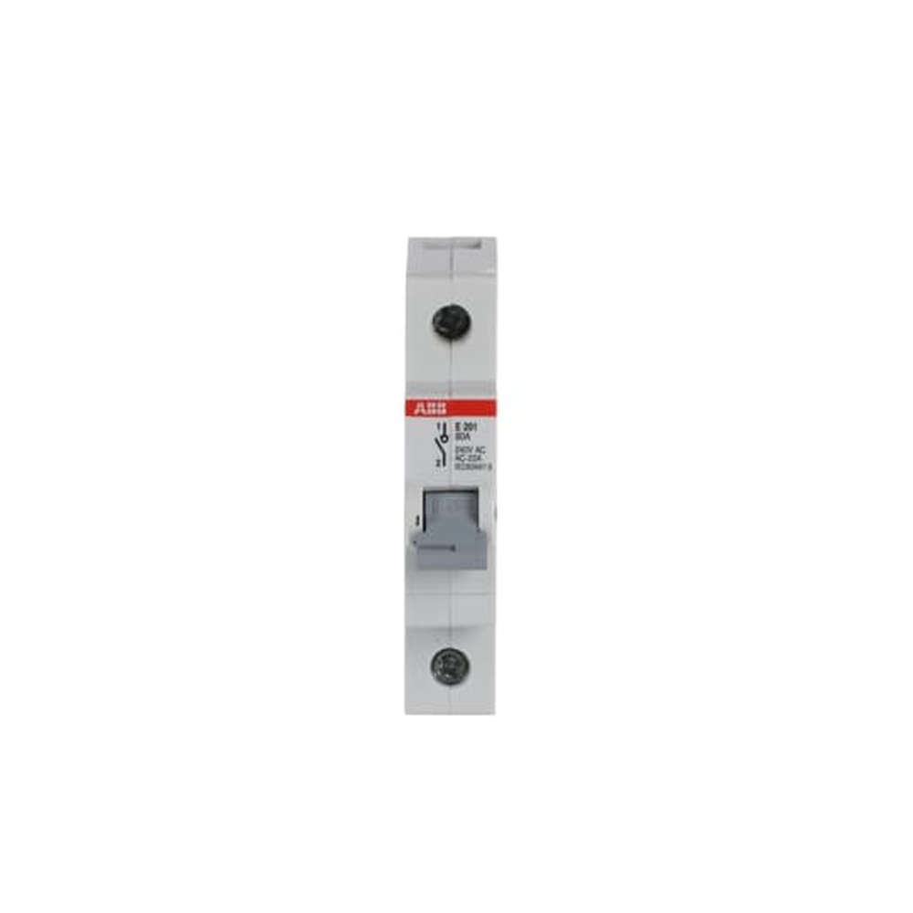 ABB Schalter für Reiheneinbau 2CDE281001R1080 Typ E201/80G
