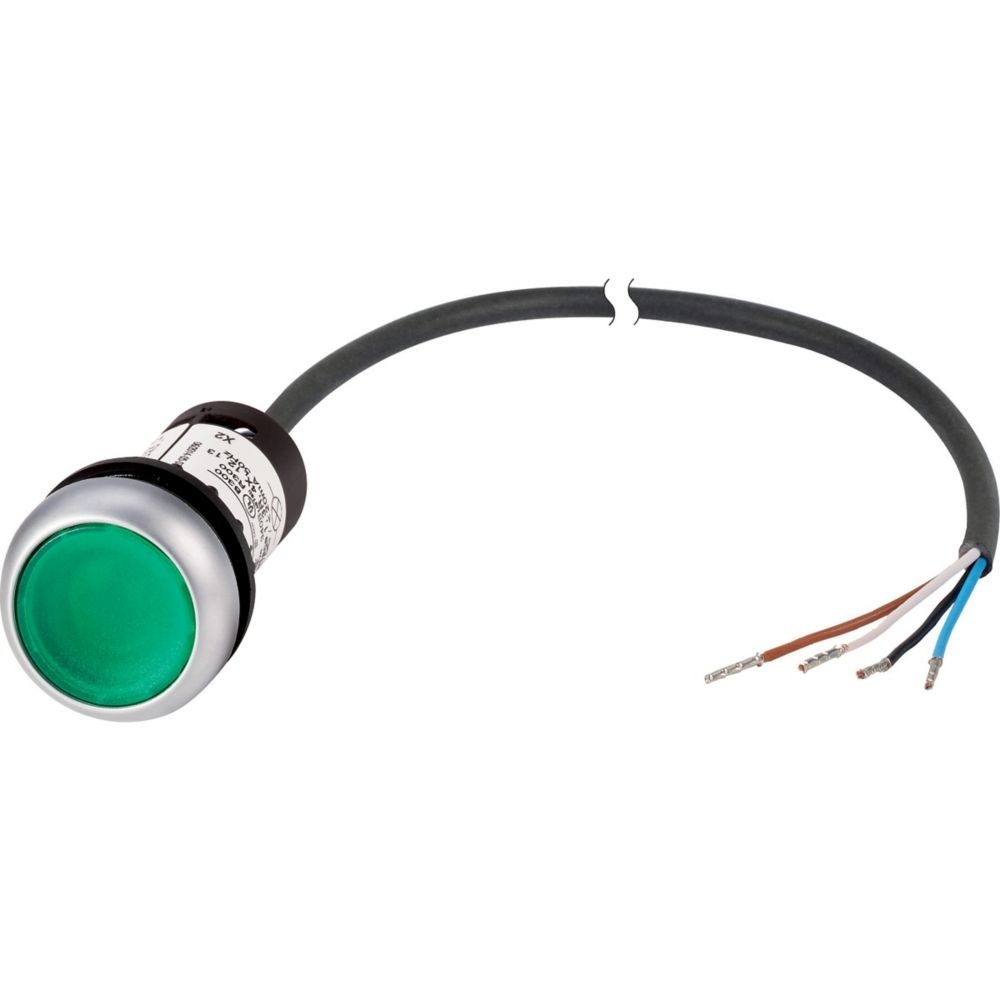 Eaton Leuchtdrucktaste 185590 Typ C22-DRL-G-K10-24-P62