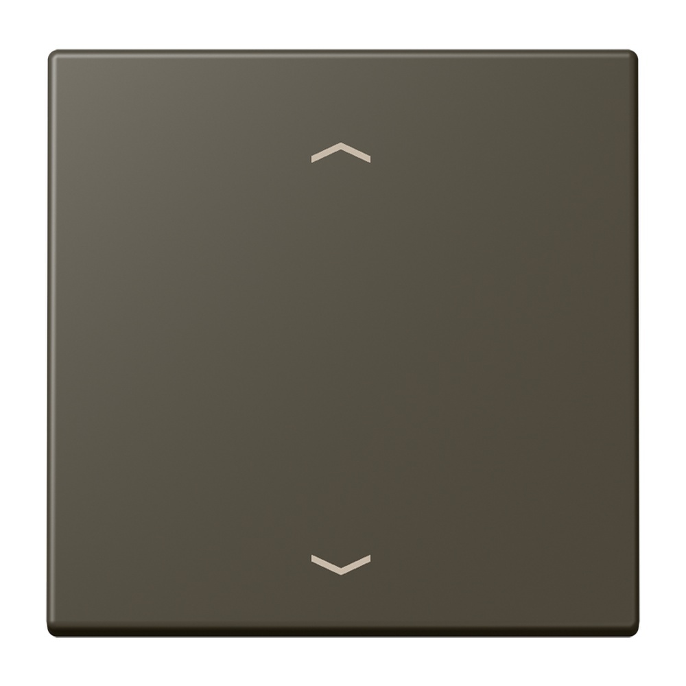 Jung Management Taster 1fach LC1700P241