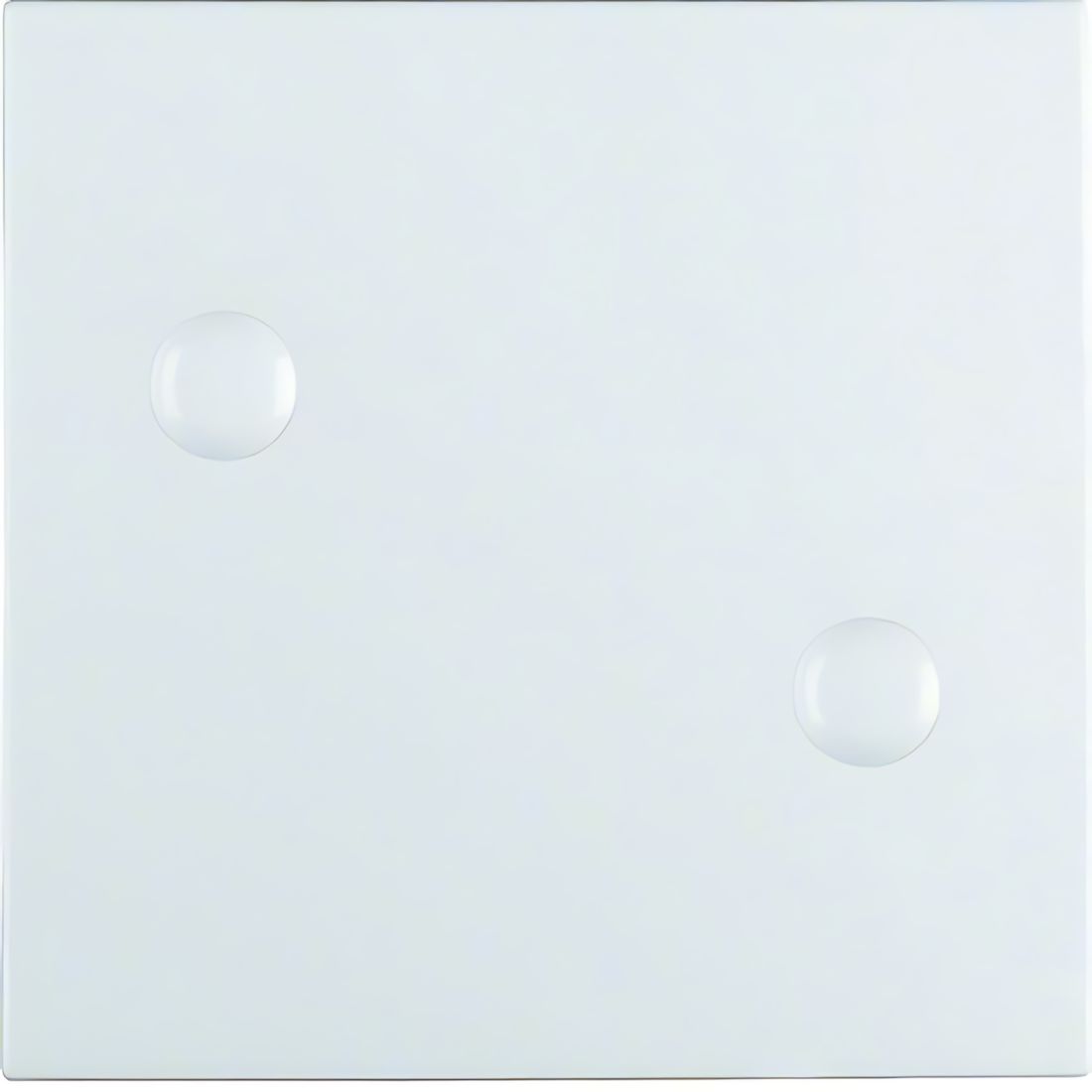 Berker Wippe 15701909 Berker Wippe 15701909