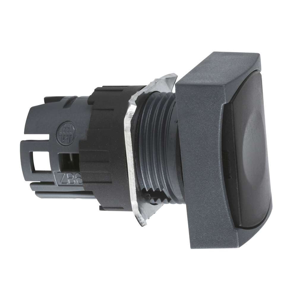 Schneider Electric Frontelement ZB6DA2