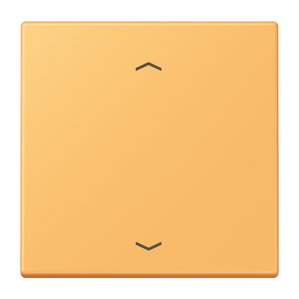 Jung Management Taster 1fach LC1700P254