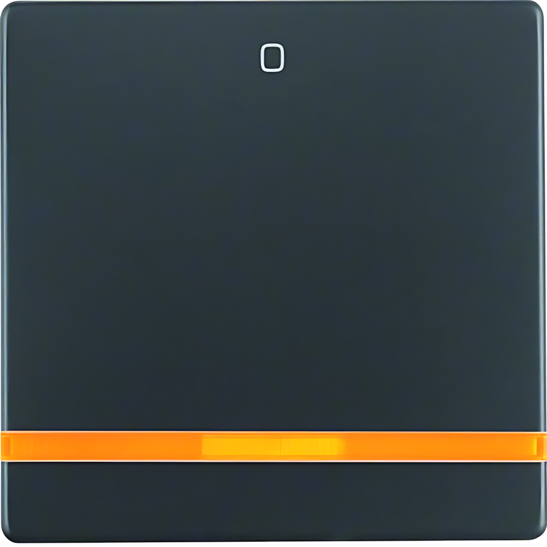 Berker Wippe 16246086 Berker Wippe 16246086