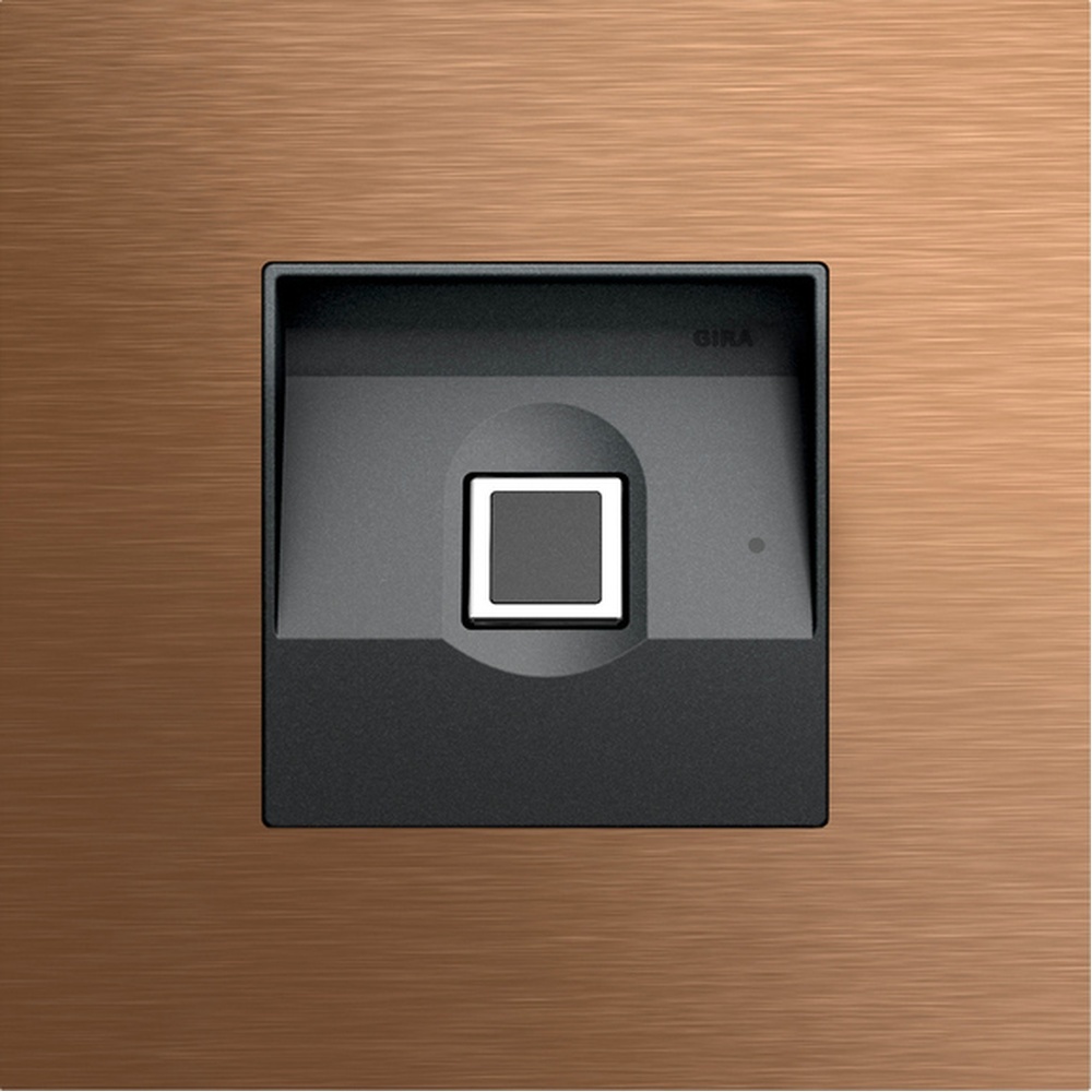 Gira Keyless In Fingerprintmodul 5551921