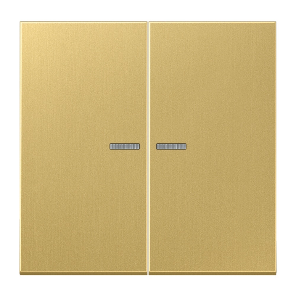 Jung Serienwippe m. Lichtleiter ME102KO5C