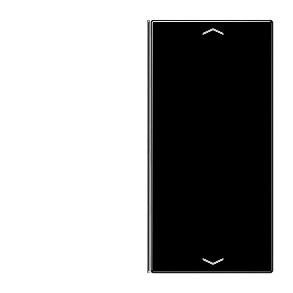 Jung Taste 2fach LS 402 TSAP SW Jung Taste 2fach LS 402 TSAP SW