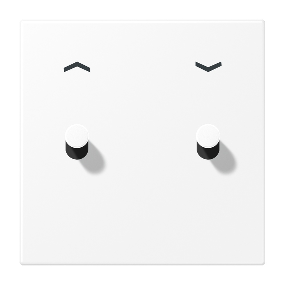 Jung Abdeckung AL12-5PWWMK07