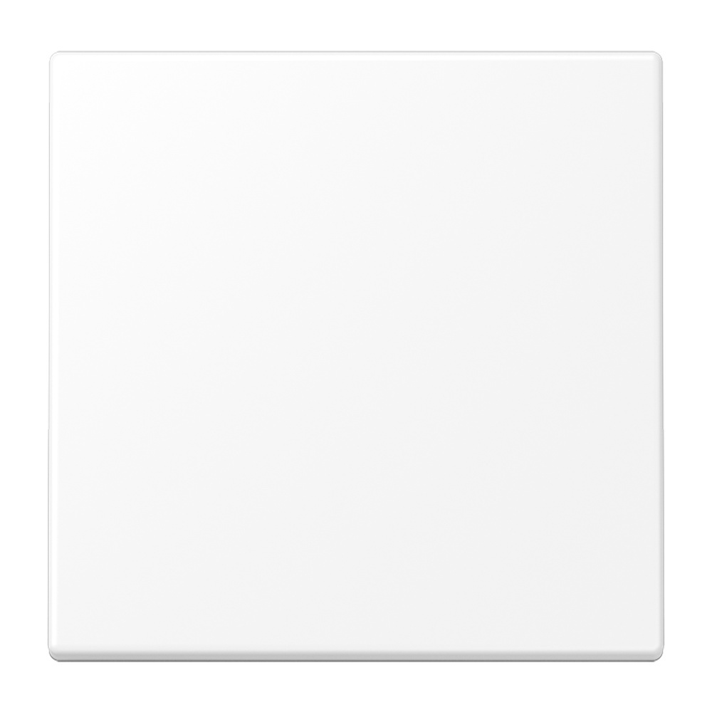 Jung Wippe f. KNX Taster LS101WWM