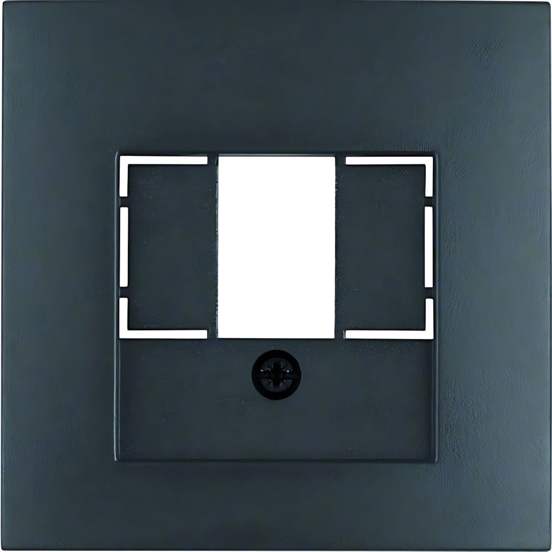 Berker Zentralstück 10331606 Berker Zentralstück 10331606