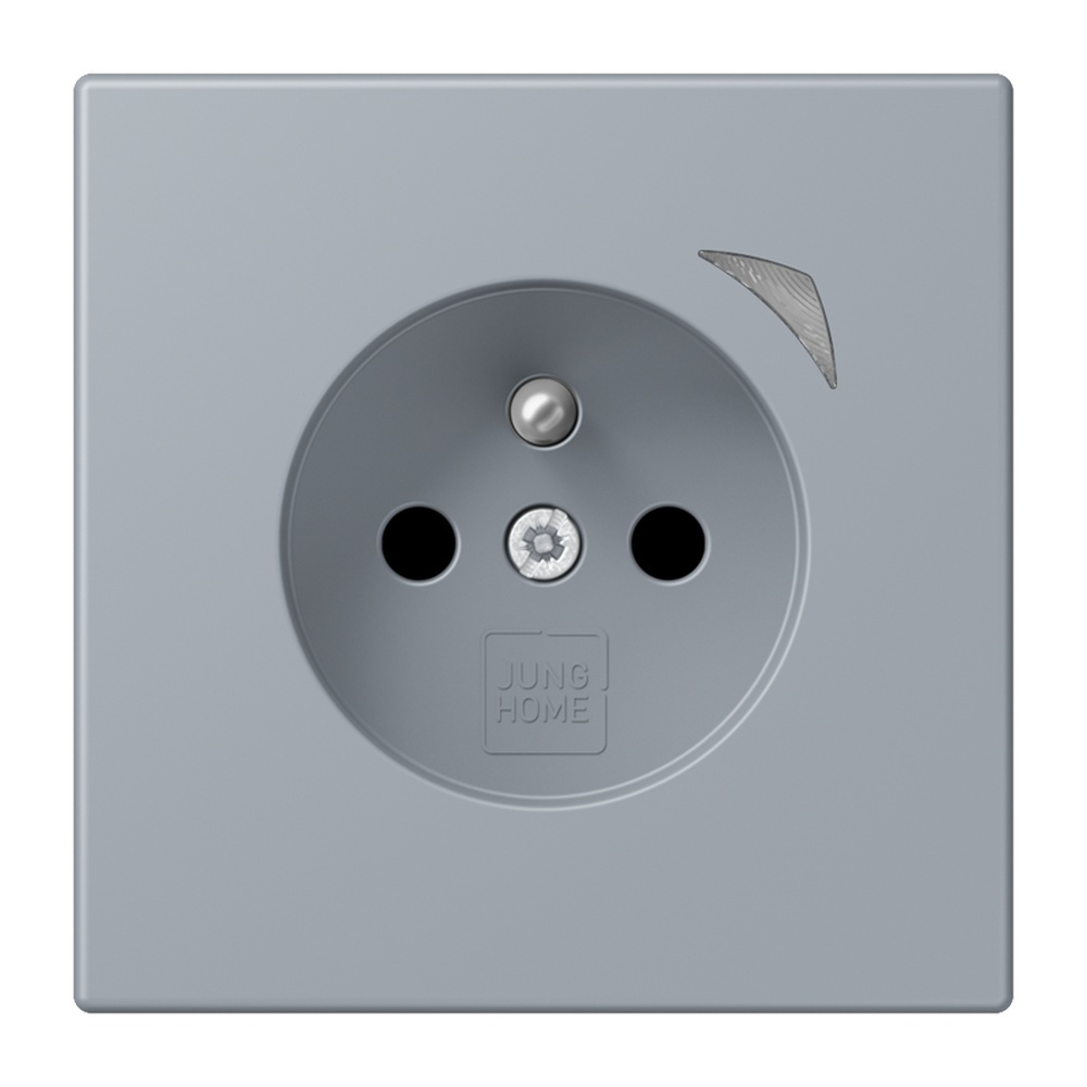 Jung Steckdose BTLC1521FS257