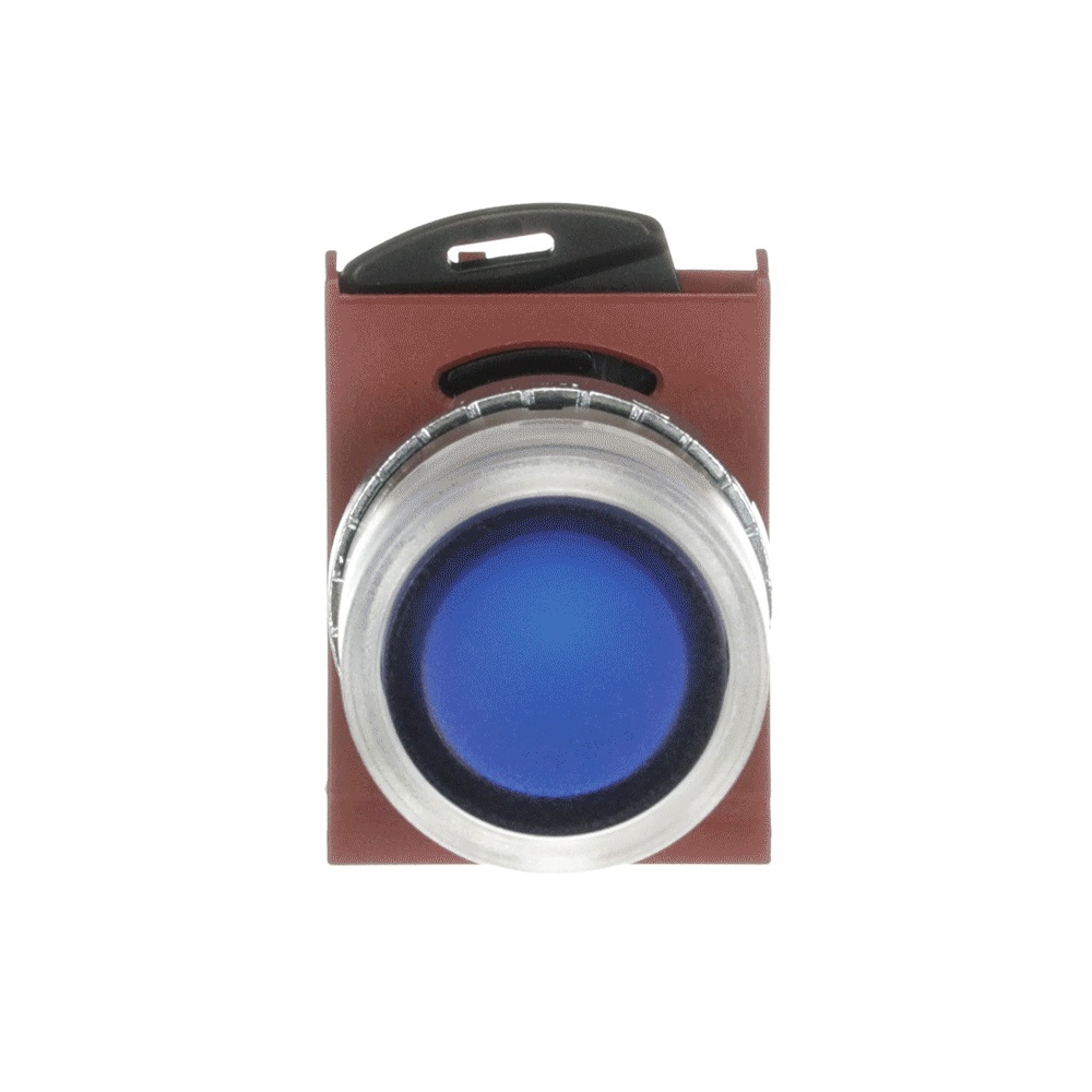 ABB Frontelement für Drucktaster 1SFA184505R9109 Typ P9MPLASD