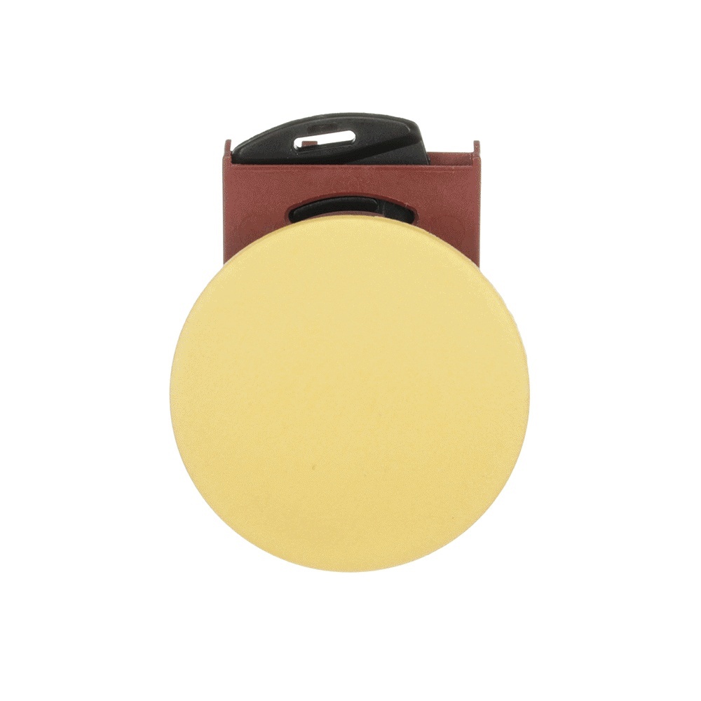 ABB Frontelement für Drucktaster 1SFA184063R9003 Typ P9MET4GN1