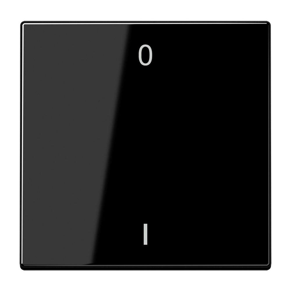 Jung EnOcean Funk Wandsender ENO LS 990-01 SW
