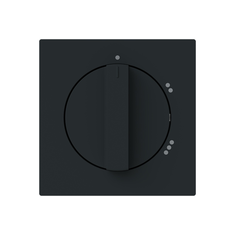 Busch-Jaeger Zentralscheibe 2542 DR/02-45M Typ 2CKA001710A4156