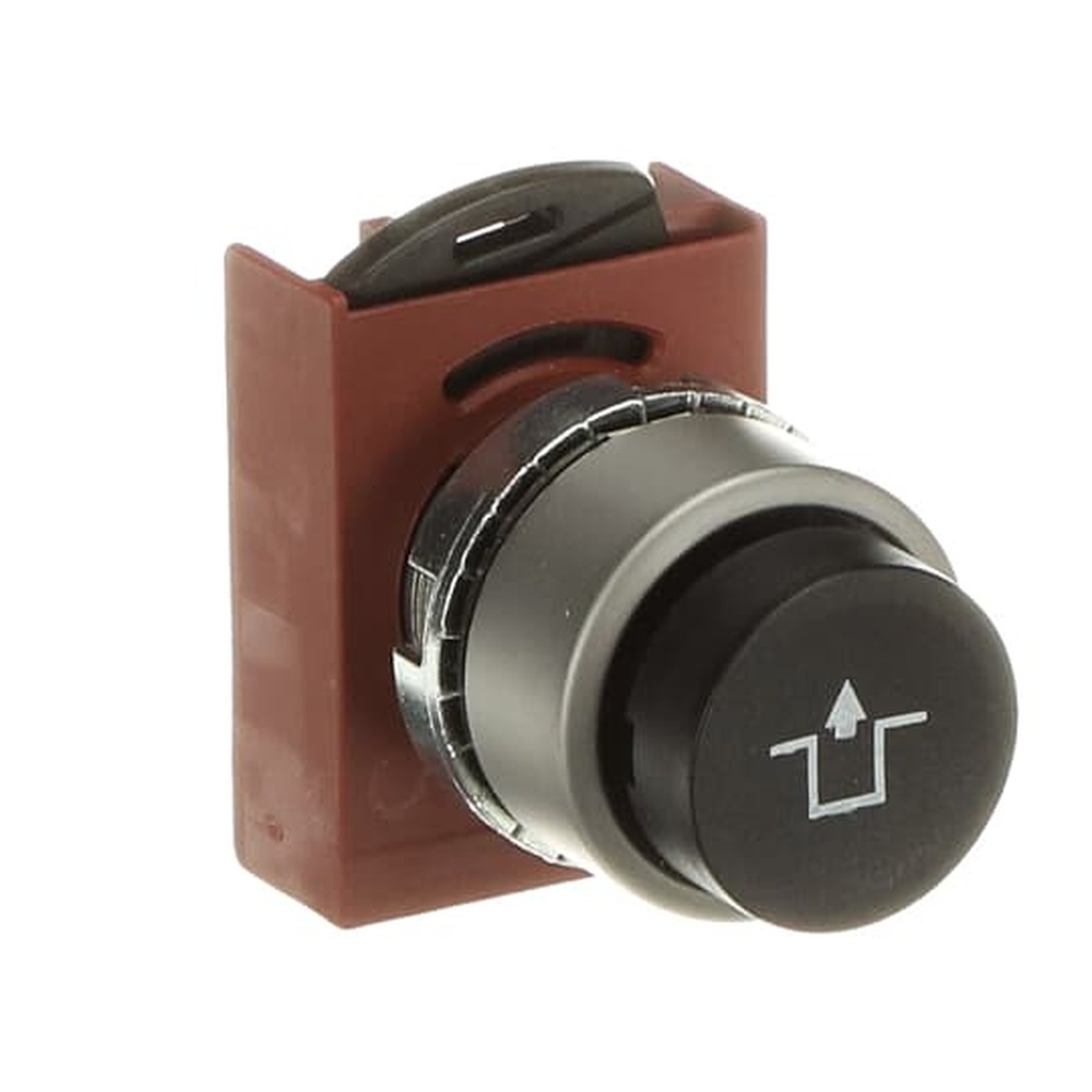 ABB Frontelement für Drucktaster 1SFA187235R9506 Typ P9MPNNS032