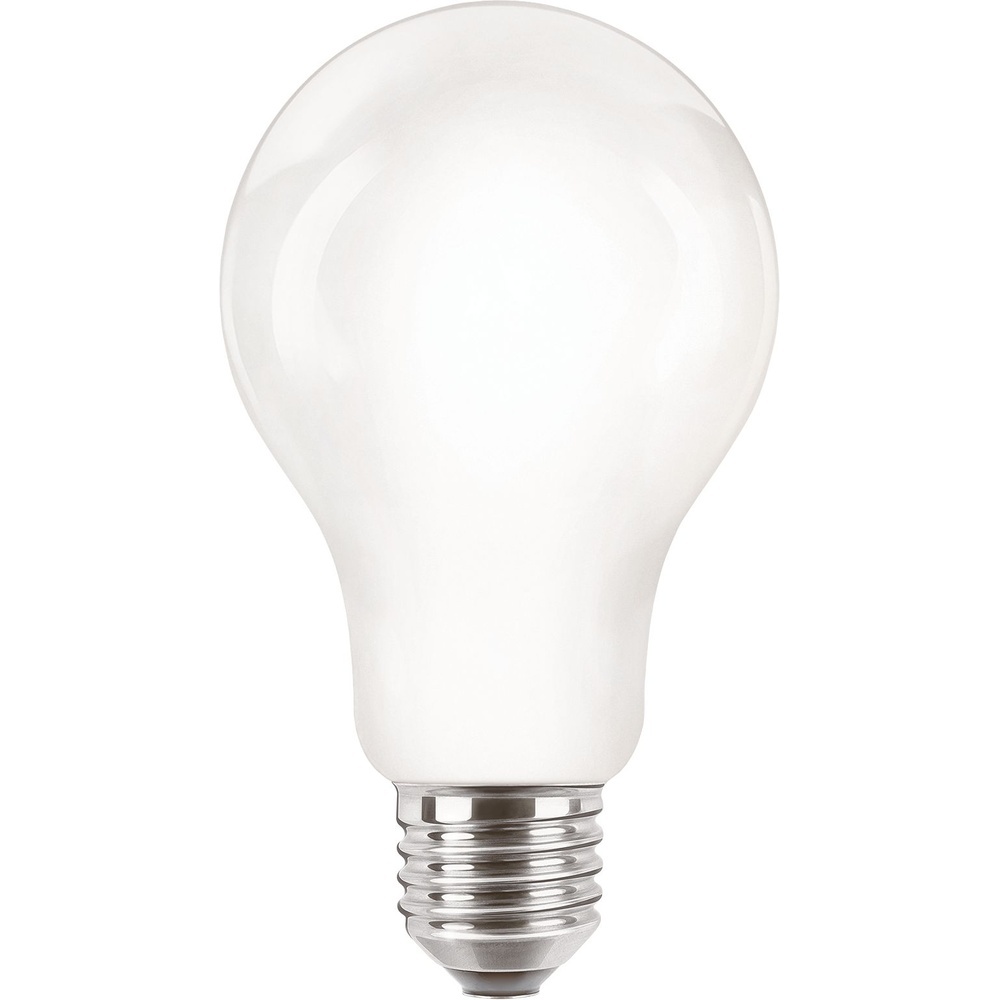 Signify Philips LED Glühbirne 34653600 Typ CorePro LEDBulbND 120W E27 A67 827 FR G