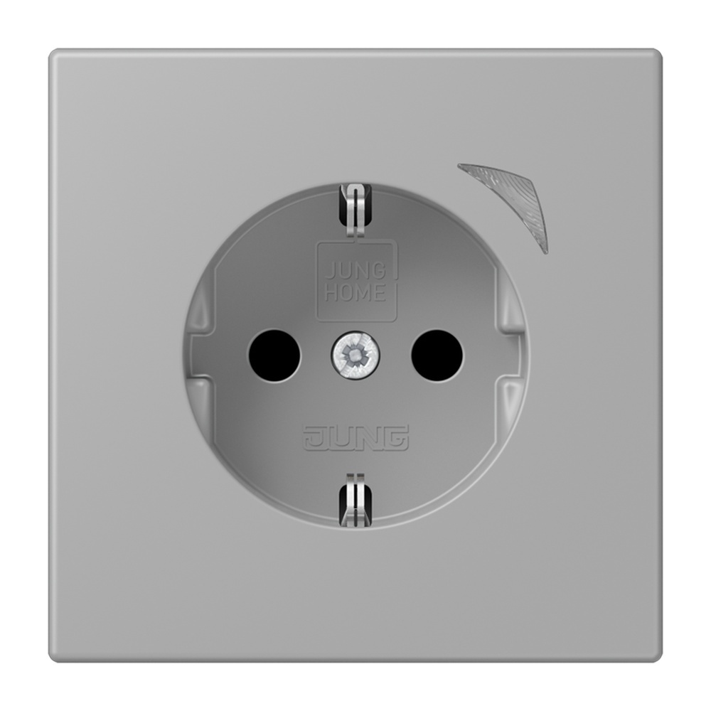 Jung JUNG HOME SCHUKO Steckdose BTLC1521SE204