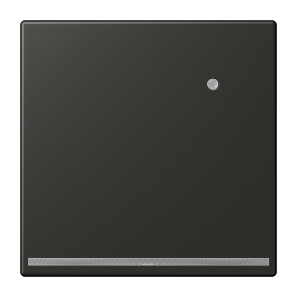 Jung LED Orientierungslicht AL1539-OANLNW Jung LED Orientierungslicht AL1539-OANLNW