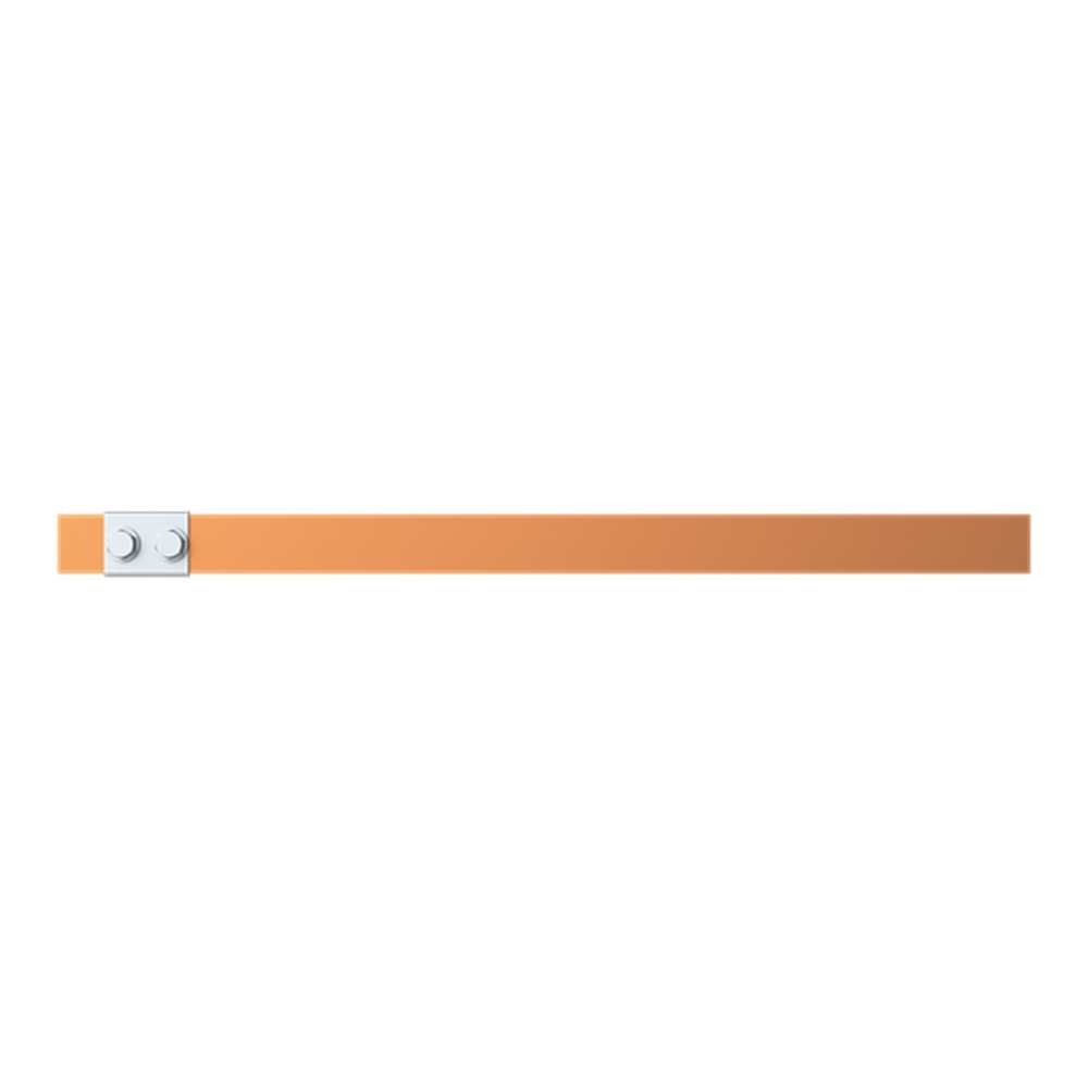 Striebel & John CU-Schiene 2CPX042691R9999 Typ ZXM2243