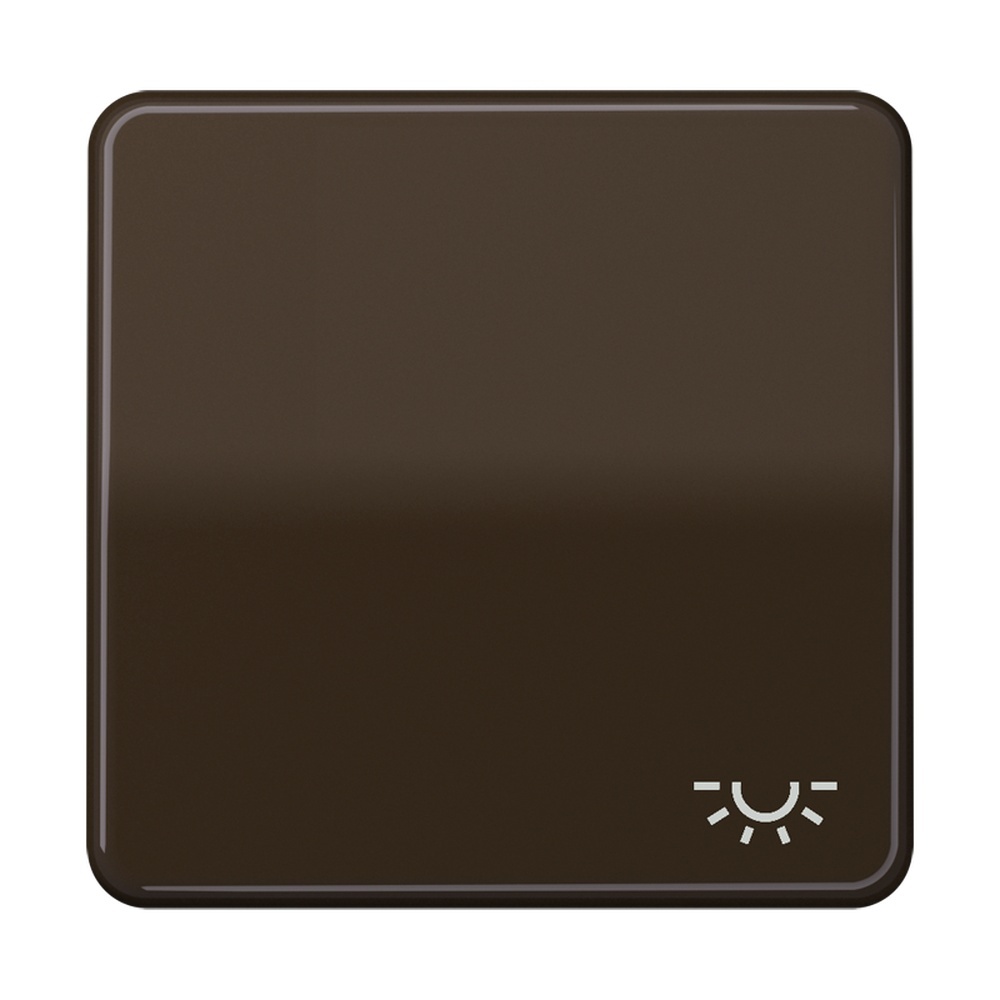 Jung Wippe CD 590 L BR