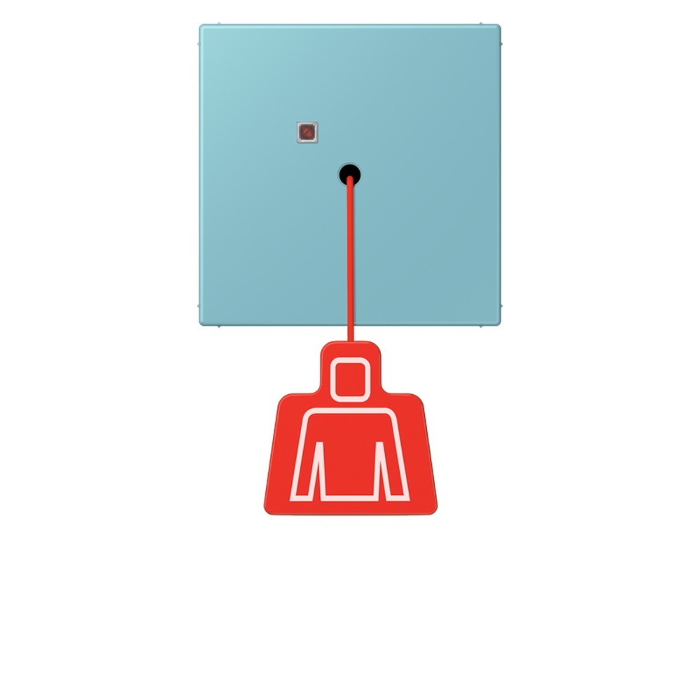 Jung Notrufsystem Zugtaster NRSLC0834ZT213