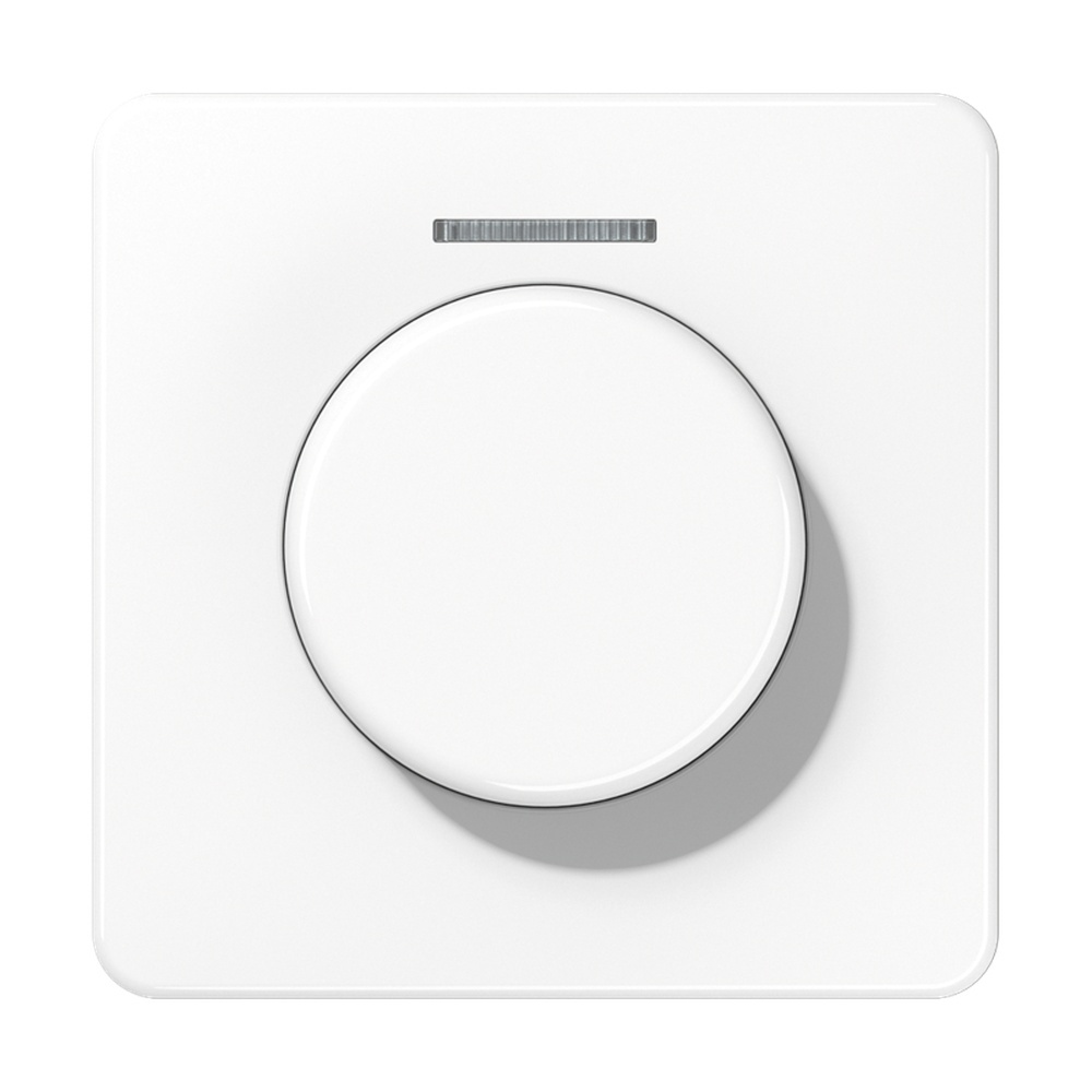 Jung Abdeckung Lichtleiter CD 1540 KO5 WW