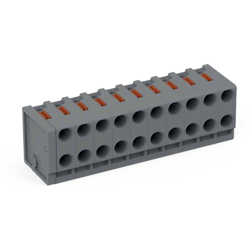 Wago 2 Leiter Federleiste 252-310