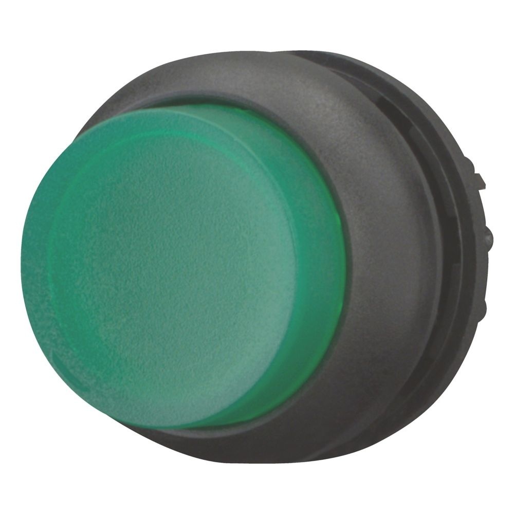 Eaton Leuchtdrucktaste 216798 Typ M22S-DRLH-G