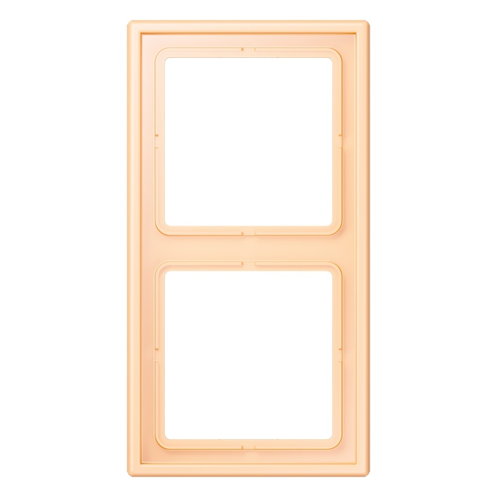 Jung Rahmen LC982223