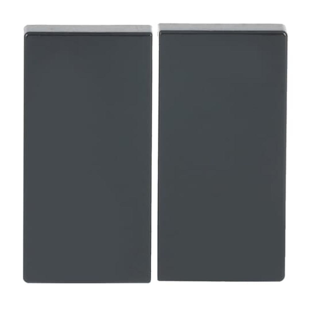 Busch-Jaeger Wippe 6736 FoH-81 Nr. 2CKA006730A0133