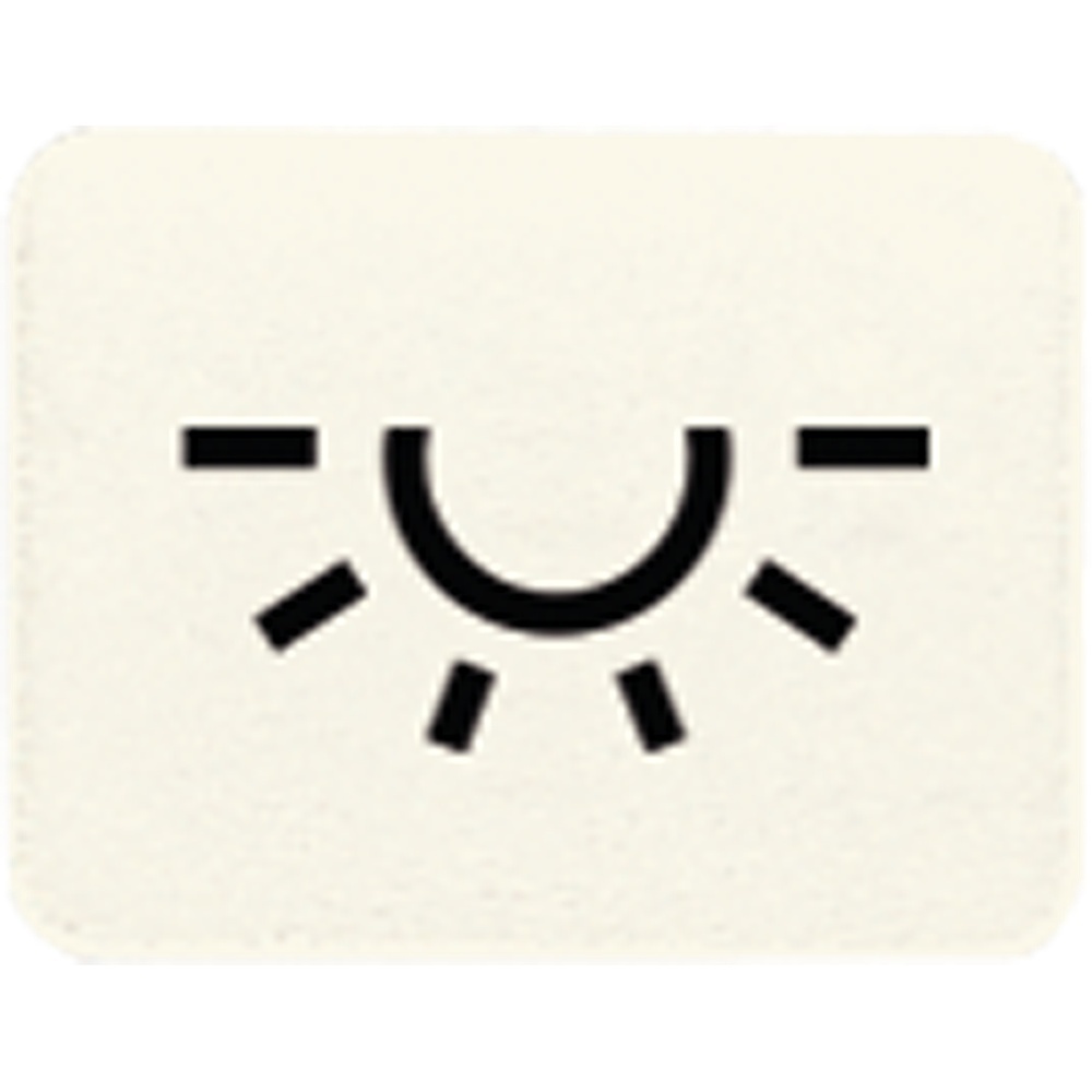 Jung Symbol Licht 33 L