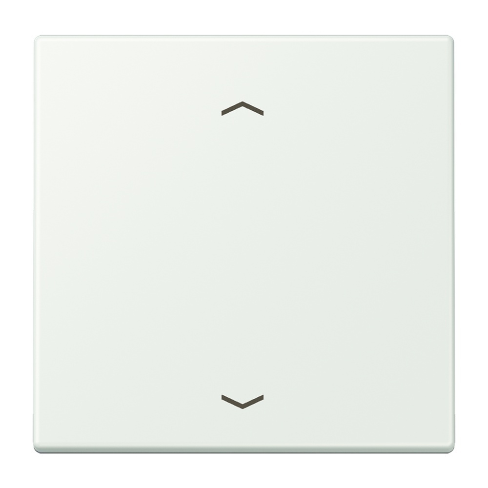 Jung Management Taster 1fach LC1700P210