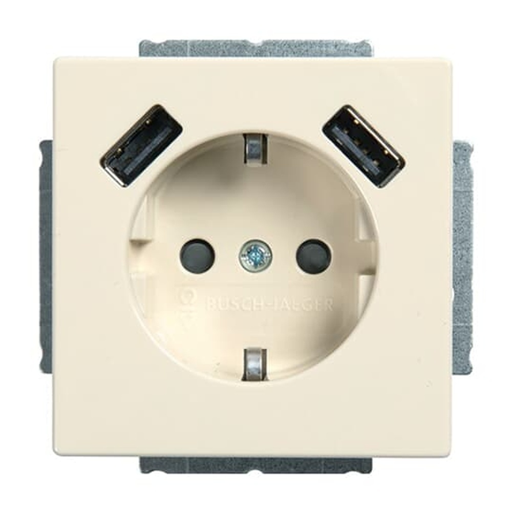 Busch-Jaeger Schuko USB Steckdose 20 EUCB2USB-82 Nr. 2CKA002011A6269