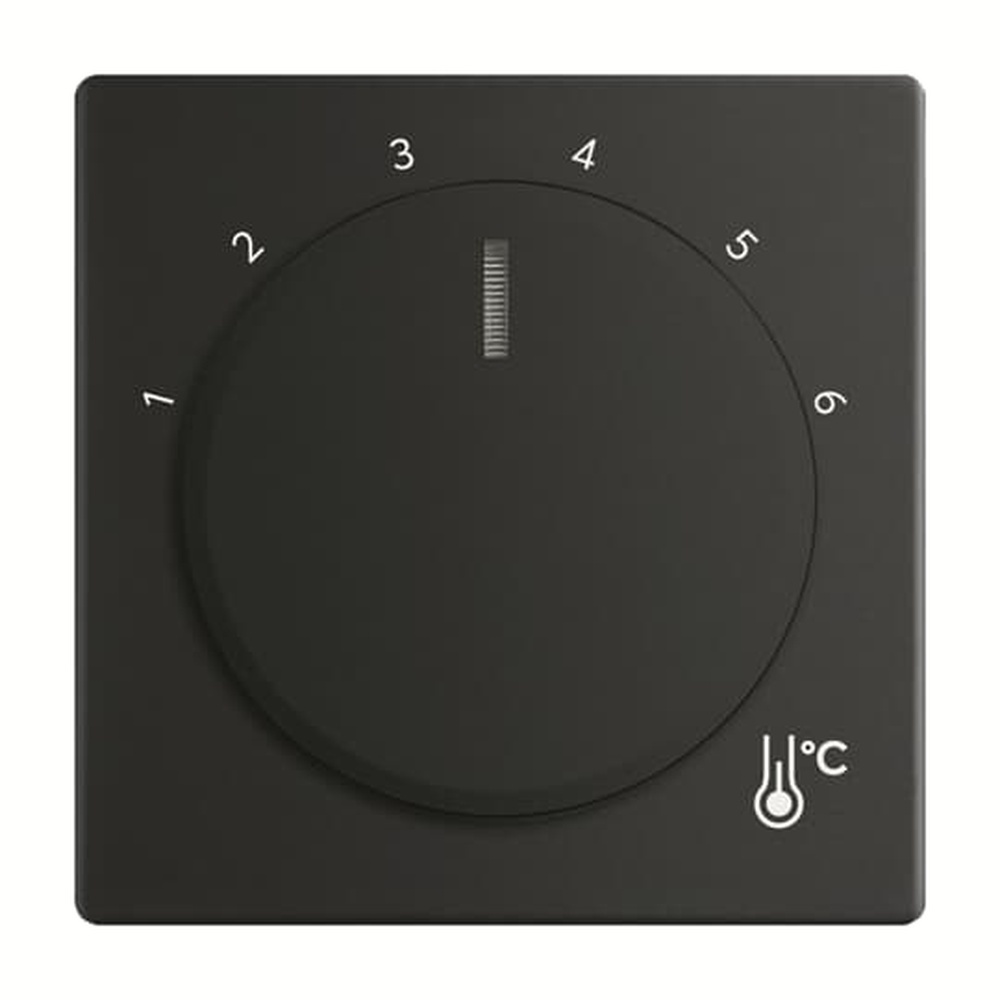 Busch-Jaeger Zentralscheibe Temperatur 1794 R-885 Nr. 2CKA001710A4205