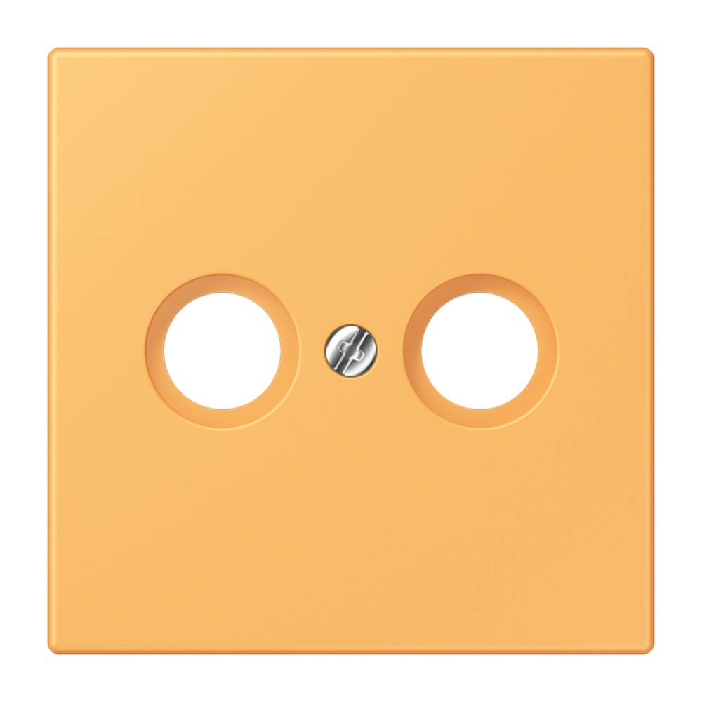 Jung Abdeckung LC990TV254